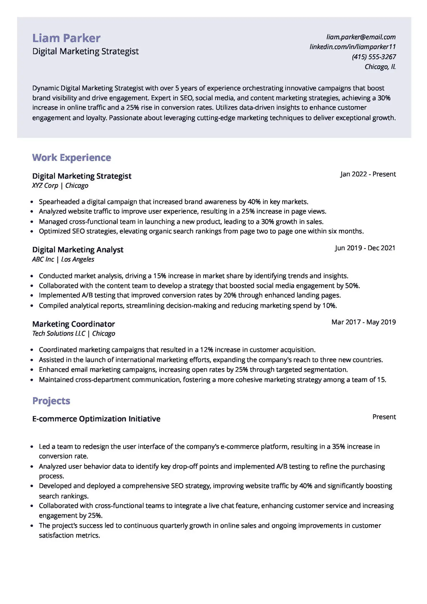Digital Marketing Strategist Resume