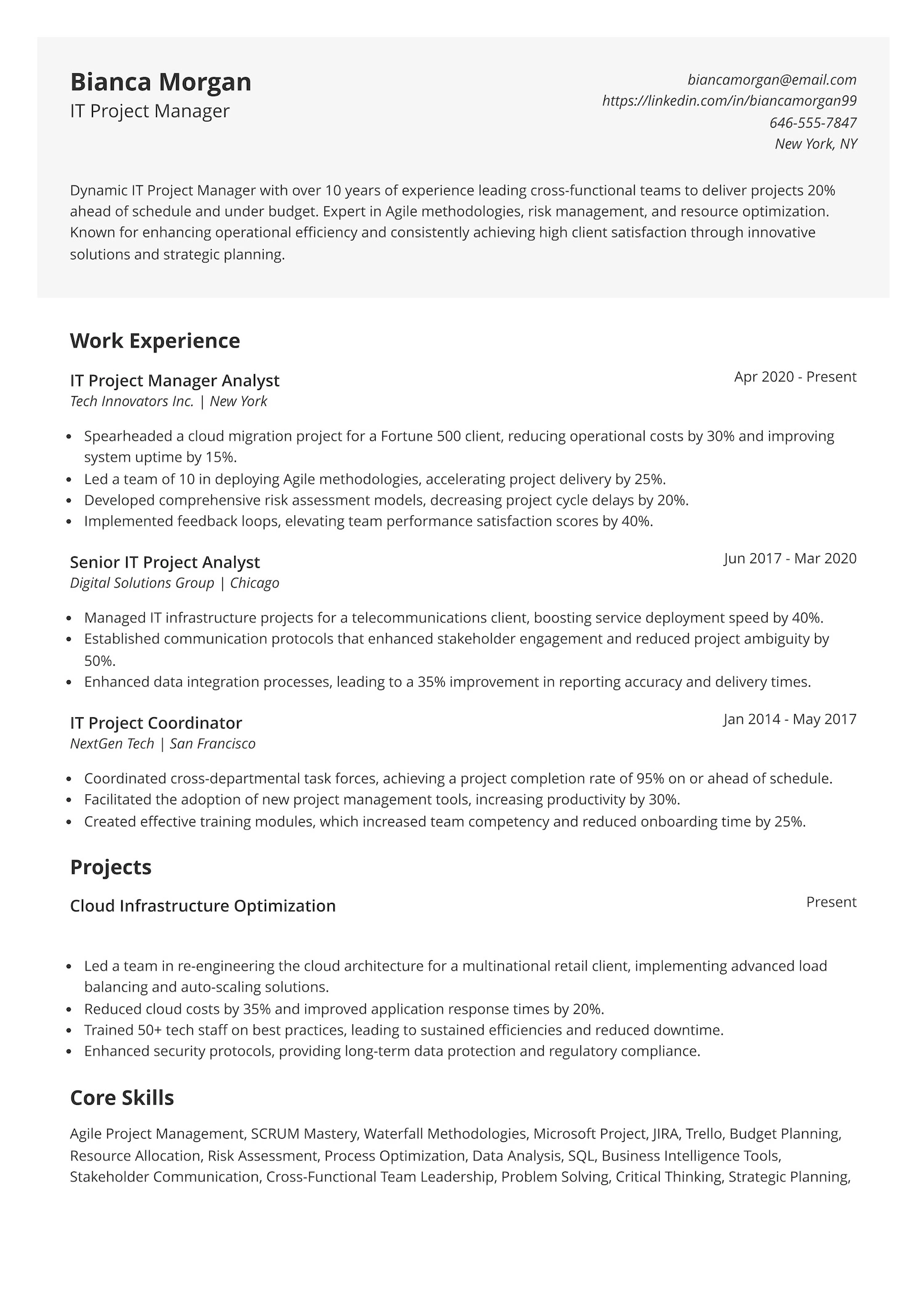 IT Project Manager Resume