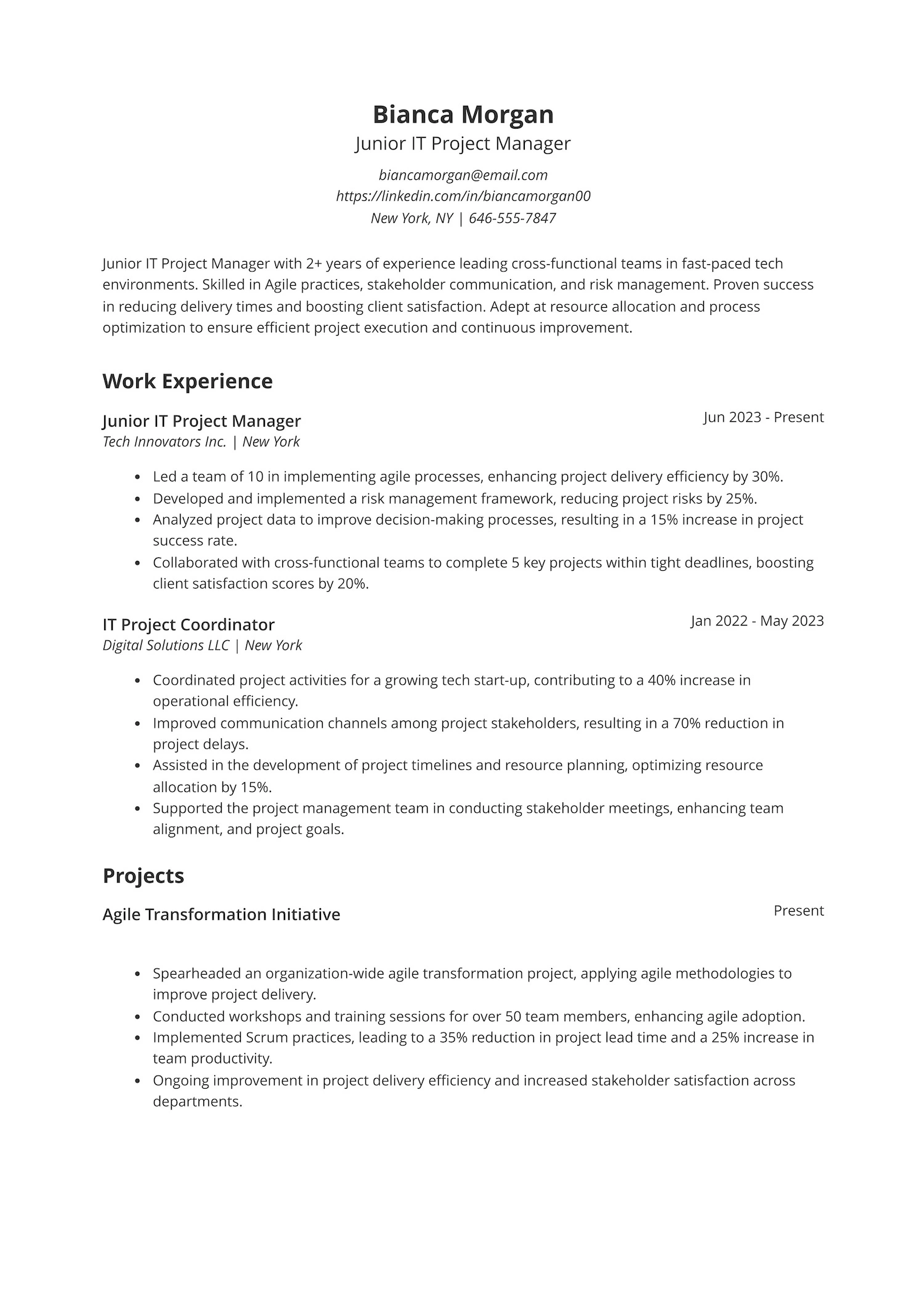 Junior IT Project Manager Resume